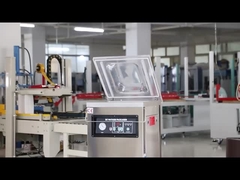 DUOQI DZ-400 vacuümverpakkingsmachine met elektrische bediening